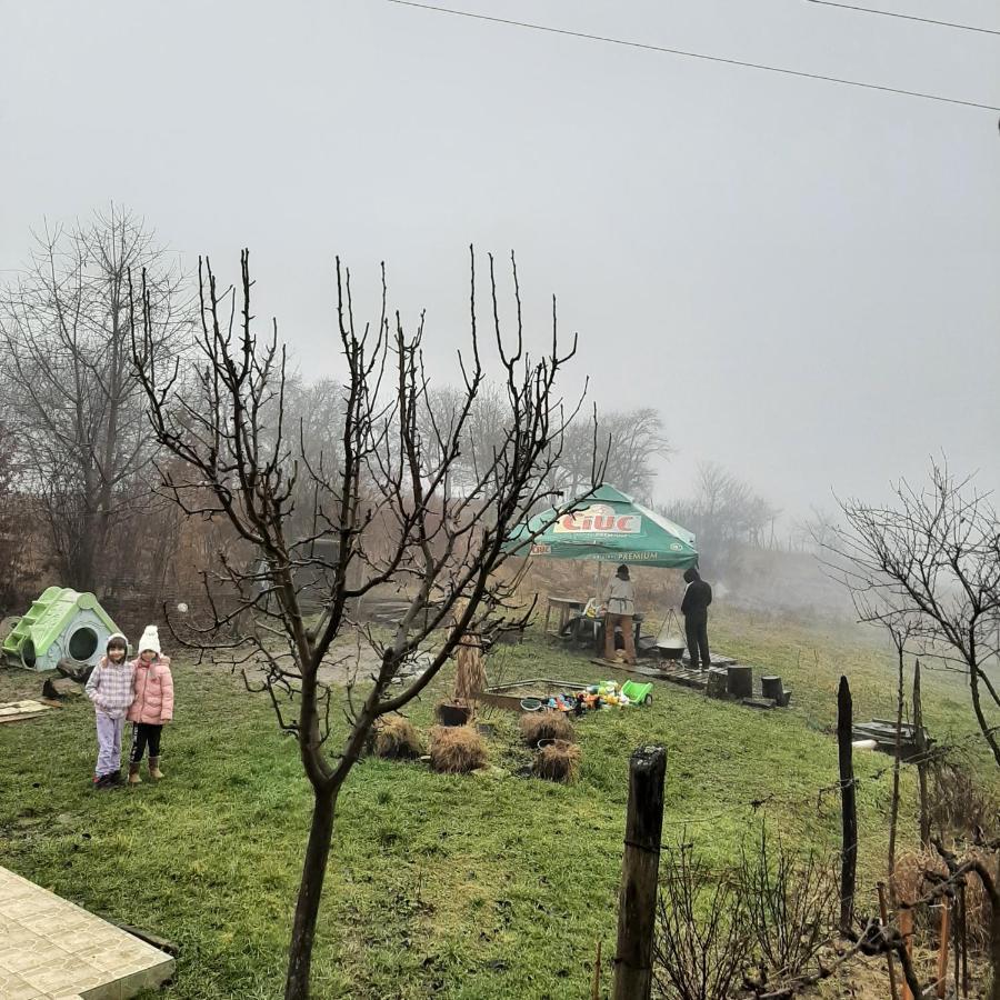 Panorama Cehu Silvaniei Exterior foto