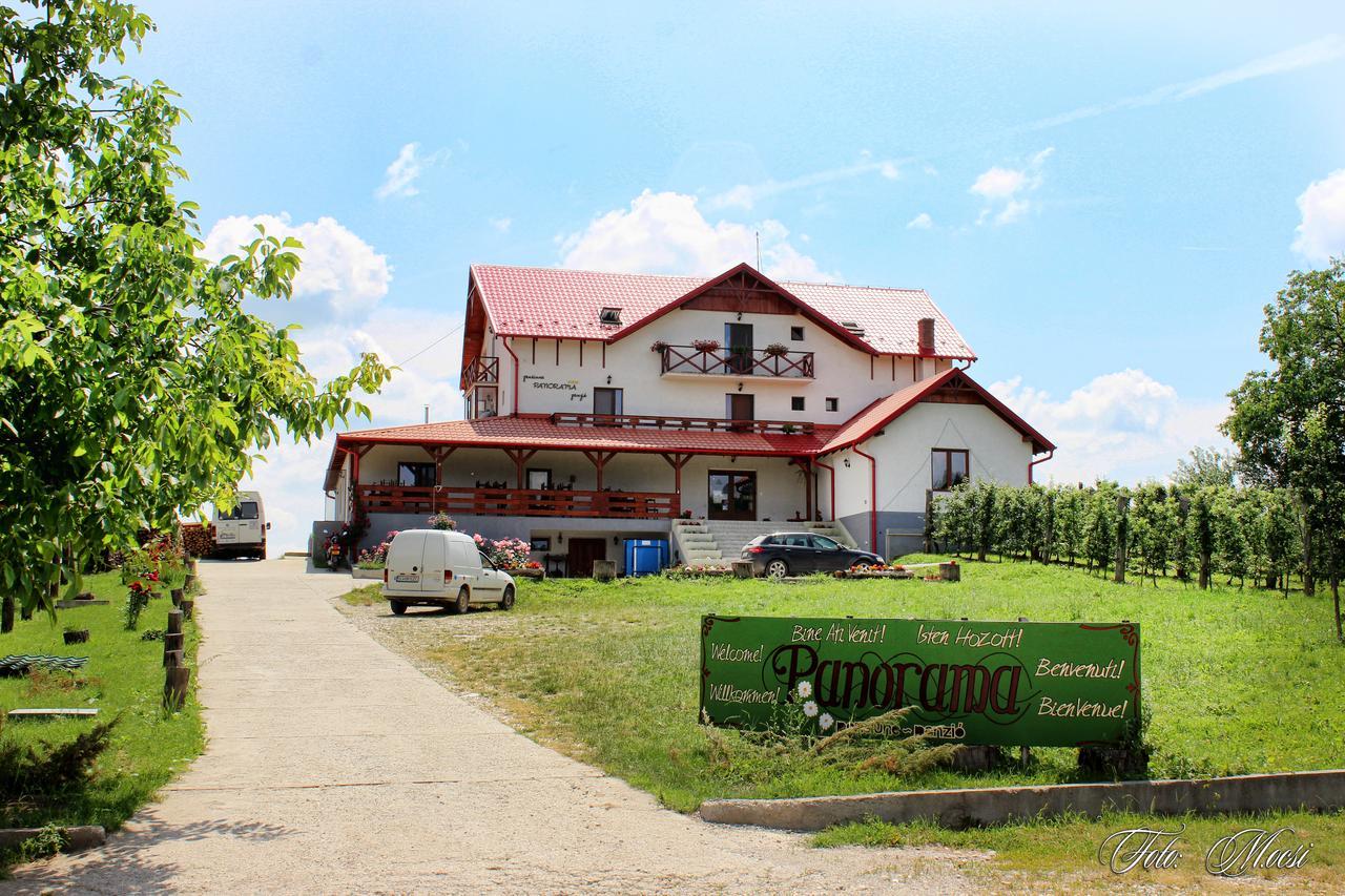 Panorama Cehu Silvaniei Exterior foto